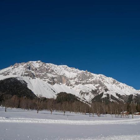 Adlernest Apartment Ramsau am Dachstein Luaran gambar