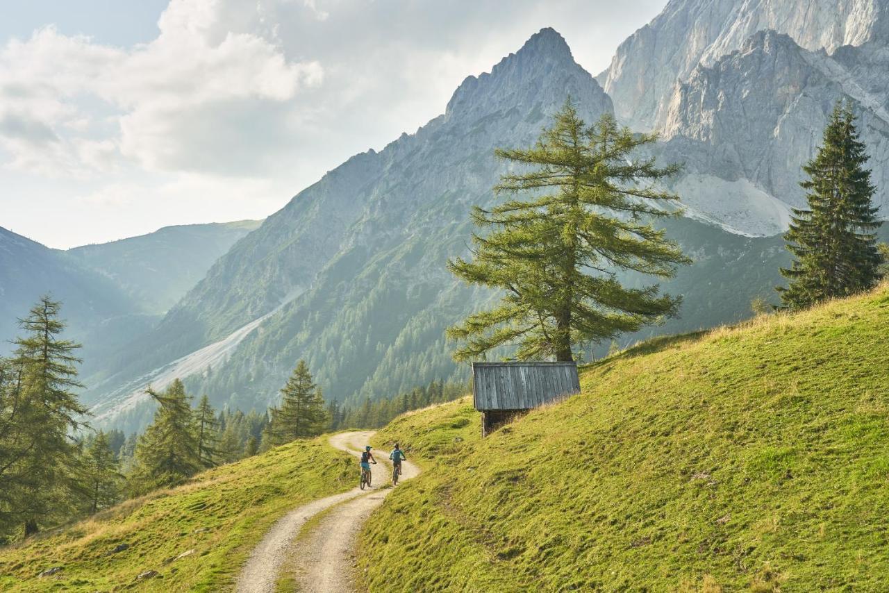 Adlernest Apartment Ramsau am Dachstein Luaran gambar