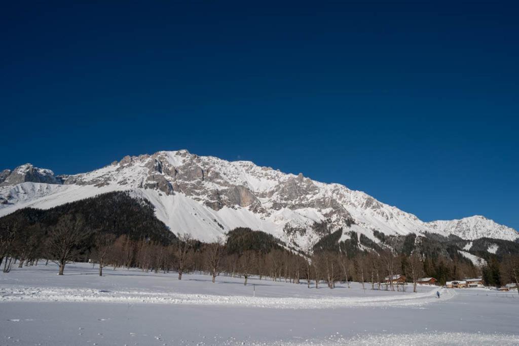 Adlernest Apartment Ramsau am Dachstein Luaran gambar